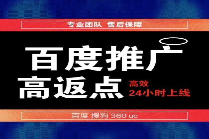 SEM竞价推广案例：打造行业领先的广告投放策略